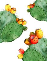 Orologio Camurria Donna in Metallo CW20ST1 - CW20ST1